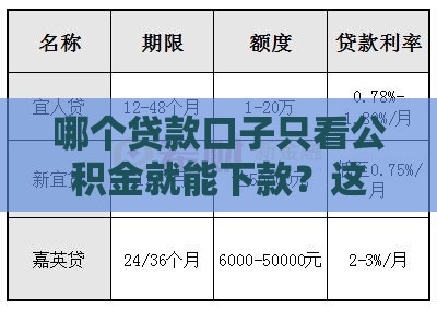 哪个贷款口子只看公积金就能下款？这5家平台审批快、额度高！