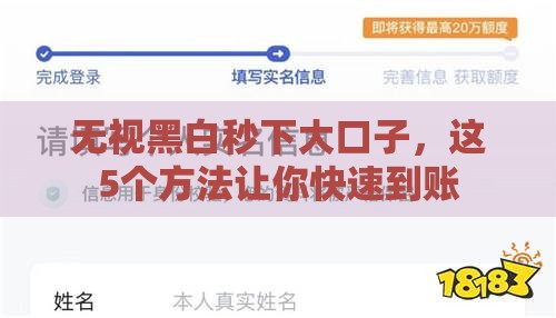 无视黑白秒下大口子，这5个方法让你快速到账