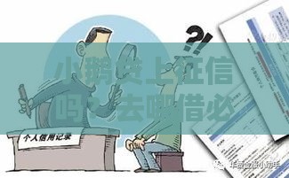 小鹅贷上征信吗？去哪借必看，一文说清征信影响和避坑技巧！