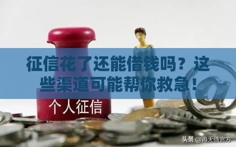 征信花了还能借钱吗？这些渠道可能帮你救急！