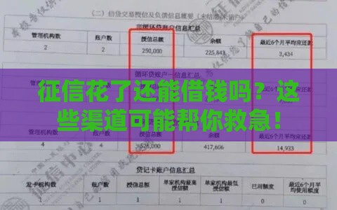 征信花了还能借钱吗？这些渠道可能帮你救急！