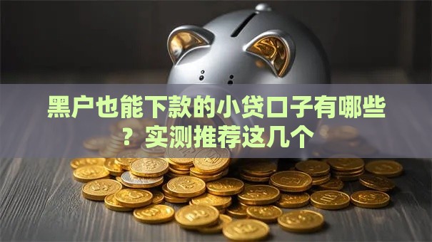 黑户也能下款的小贷口子有哪些？实测推荐这几个