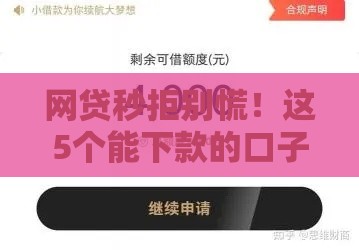 网贷秒拒别慌！这5个能下款的口子急用钱必看