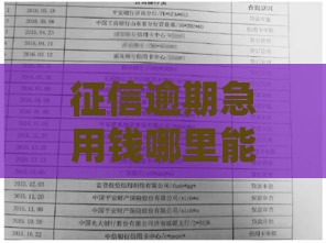 征信逾期急用钱哪里能借？2025年必看这5个应急方案