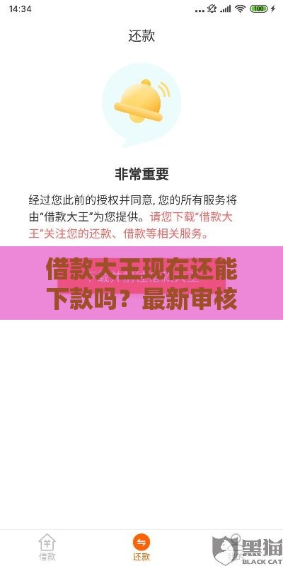 借款大王现在还能下款吗?最新审核变化+替代平台解析 借款大王现在还能下款吗?最新审核变化+替代平台解析