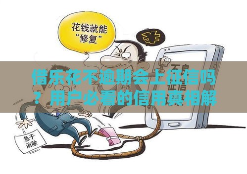 借乐花不逾期会上征信吗?用户必看的信用真相解析 借乐花不逾期会上征信吗?用户必看的信用真相解析