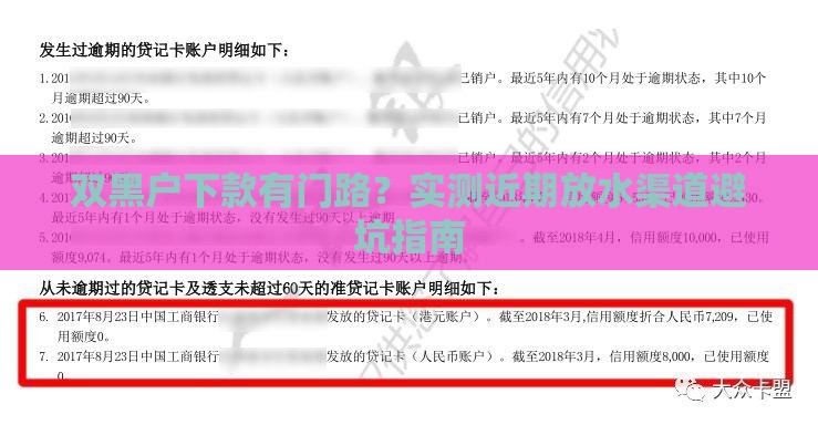 双黑户下款有门路?实测近期放水渠道避坑指南 双黑户下款有门路?实测近期放水渠道避坑指南