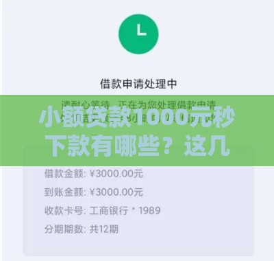 小额贷款1000元秒下款有哪些？这几招教你快速找到靠谱平台！