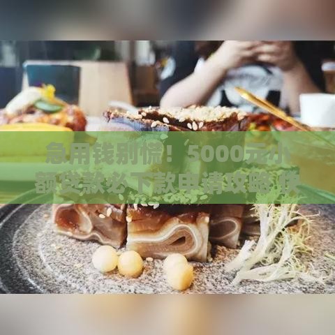 急用钱别慌！5000元小额贷款必下款申请攻略 快速到账不踩雷