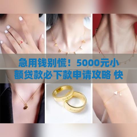 急用钱别慌！5000元小额贷款必下款申请攻略 快速到账不踩雷