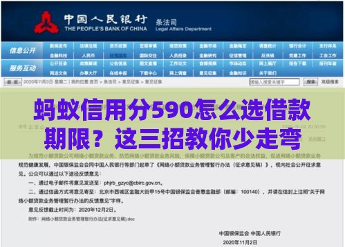 蚂蚁信用分590怎么选借款期限？这三招教你少走弯路