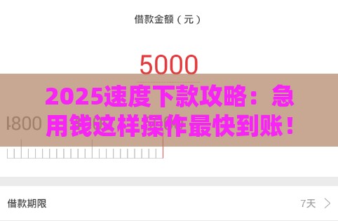 2025速度下款攻略：急用钱这样操作最快到账！亲测有效
