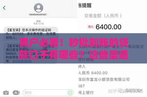 黑户必看！秒批到账的贷款口子有哪些？这些渠道靠谱吗
