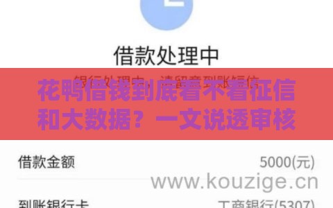 花鸭借钱到底看不看征信和大数据？一文说透审核流程+避坑技巧！