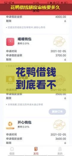 花鸭借钱到底看不看征信和大数据？一文说透审核流程+避坑技巧！