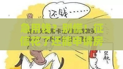 急用钱？别慌！征信花了还能申请房贷的3个窍门