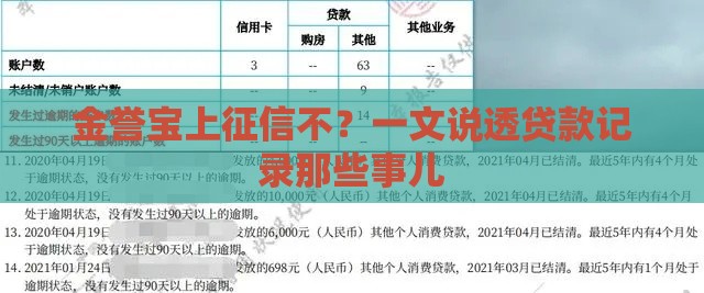 金誉宝上征信不？一文说透贷款记录那些事儿