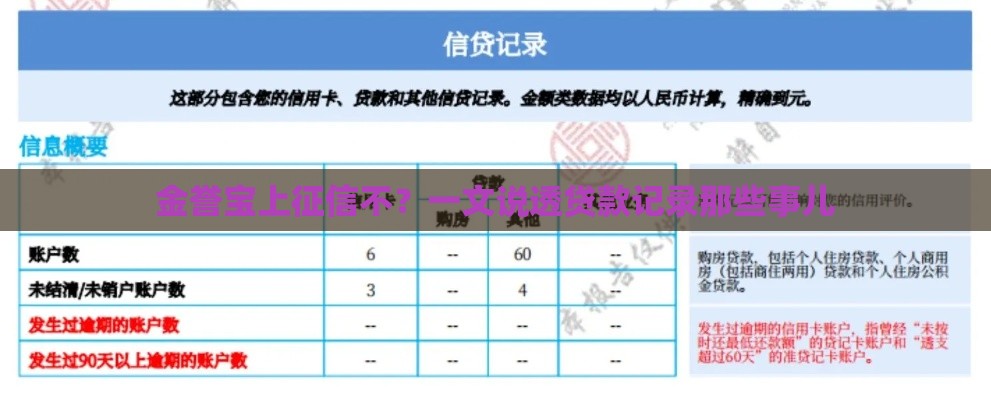 金誉宝上征信不？一文说透贷款记录那些事儿