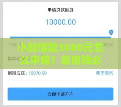小额借款3000元怎么申请？急用钱必看攻略，快速到账不踩坑！