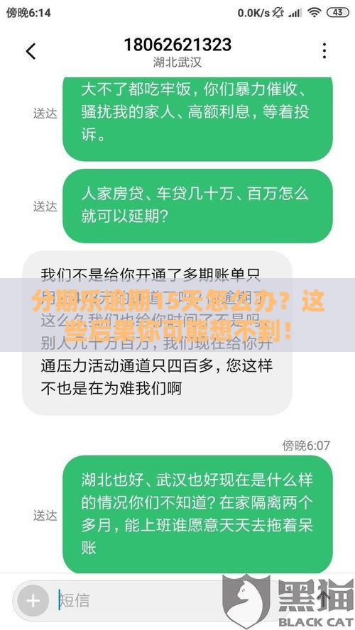分期乐逾期15天怎么办？这些后果你可能想不到！