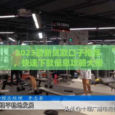 2023最新贷款口子推荐，快速下款低息攻略大揭秘