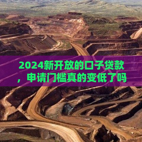 2024新开放的口子贷款，申请门槛真的变低了吗？