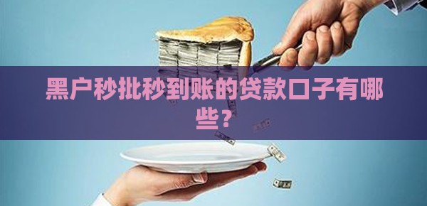 黑户秒批秒到账的贷款口子有哪些？