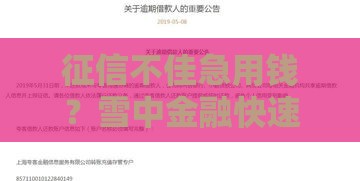 征信不佳急用钱？雪中金融快速到账攻略，应急首选方案！