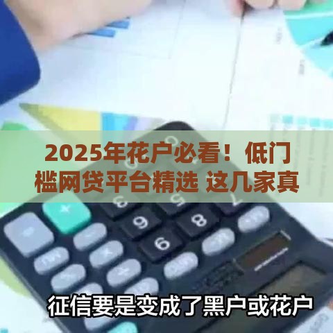 2025年花户必看！低门槛网贷平台精选 这几家真能下款