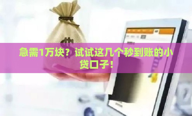 急需1万块？试试这几个秒到账的小贷口子！