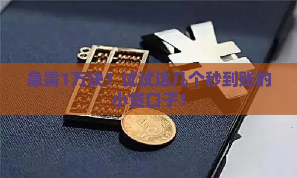 急需1万块？试试这几个秒到账的小贷口子！
