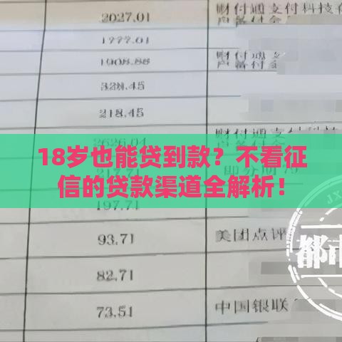 18岁也能贷到款？不看征信的贷款渠道全解析！
