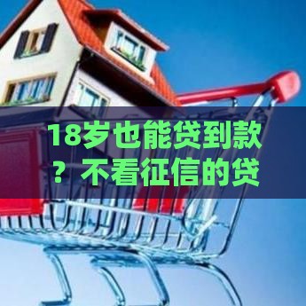 18岁也能贷到款？不看征信的贷款渠道全解析！