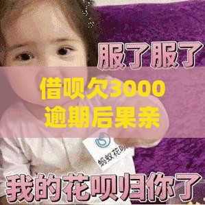 借呗欠3000逾期后果亲身经历：信用受损前该知道的5件事
