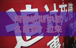 网贷逾期中怎么自救？过来人教你5招快速止损