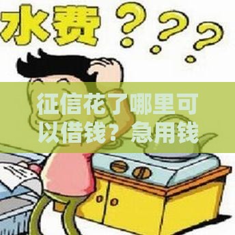 征信花了哪里可以借钱？急用钱试试这几个靠谱渠道