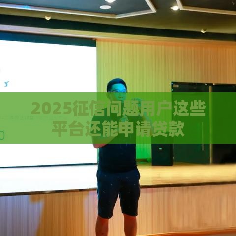 2025征信问题用户这些平台还能申请贷款
