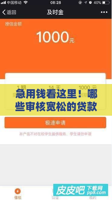 急用钱看这里！哪些审核宽松的贷款平台容易下款？