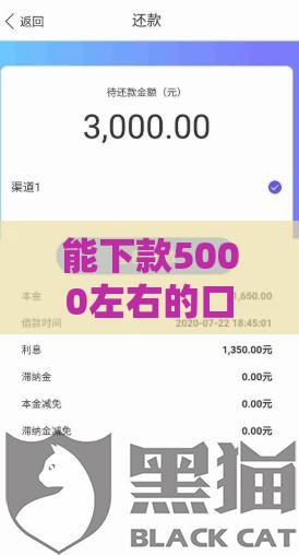 能下款5000左右的口子盘点，这几个渠道门槛低到账快