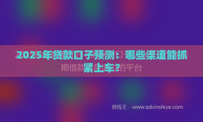 2025年贷款口子预测：哪些渠道能抓紧上车？