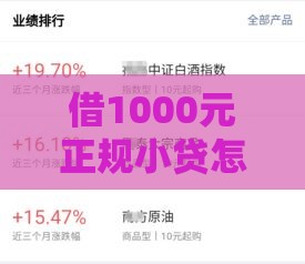 借1000元正规小贷怎么选？手把手教你避开套路，快速到账！