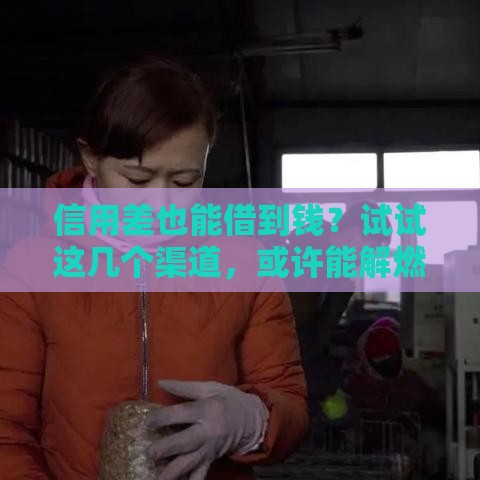 信用差也能借到钱？试试这几个渠道，或许能解燃眉之急！