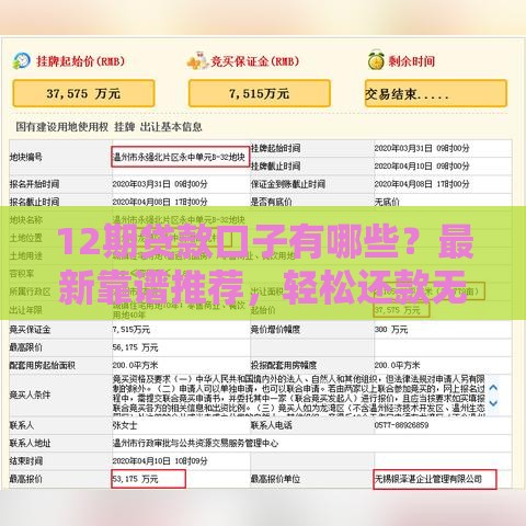 12期贷款口子有哪些？最新靠谱推荐，轻松还款无压力！