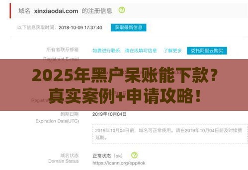 2025年黑户呆账能下款？真实案例+申请攻略！