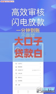 大口子贷款白户必看！5分钟搞懂如何快速下款+避坑指南
