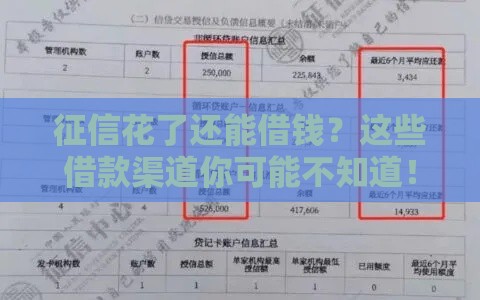 征信花了还能借钱？这些借款渠道你可能不知道！