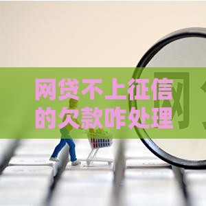网贷不上征信的欠款咋处理？这4招教你化解难题