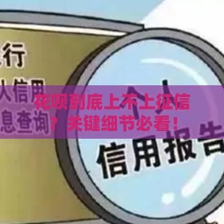 花呗到底上不上征信？关键细节必看！