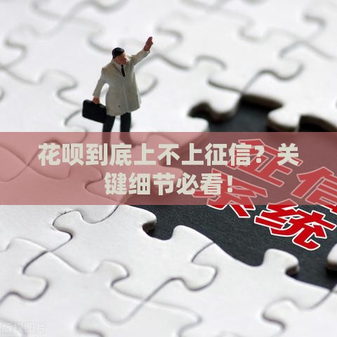 花呗到底上不上征信？关键细节必看！