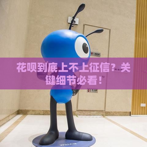 花呗到底上不上征信？关键细节必看！